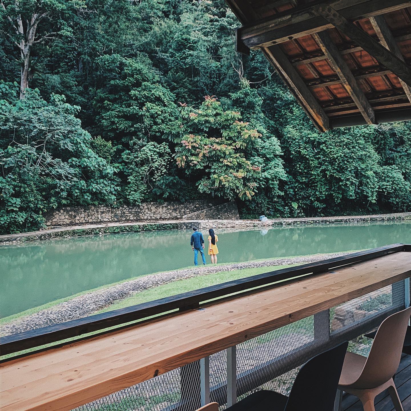 An updated list of the 5 best Nature-Themed Cafes you must go to! | OnlyFoodKL